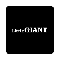 Little Giant Pumps