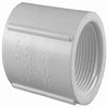 Pipe Fitting, PVC Threaded Coupling, 1-In. FIP