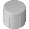 Charlotte Pipe 3/4 In. FIP Schedule 40 Threaded PVC Cap